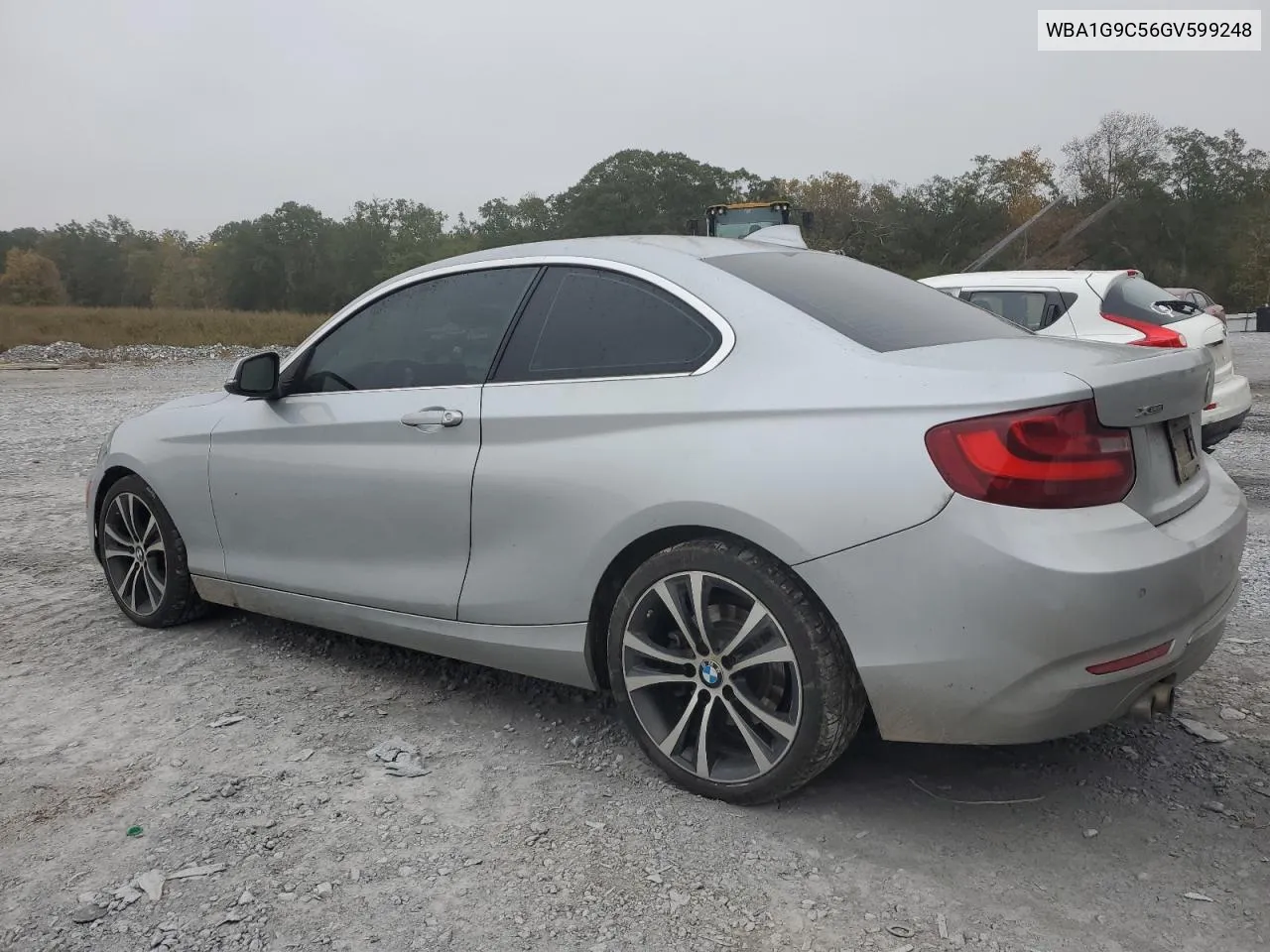 2016 BMW 228 Xi Sulev VIN: WBA1G9C56GV599248 Lot: 80220374