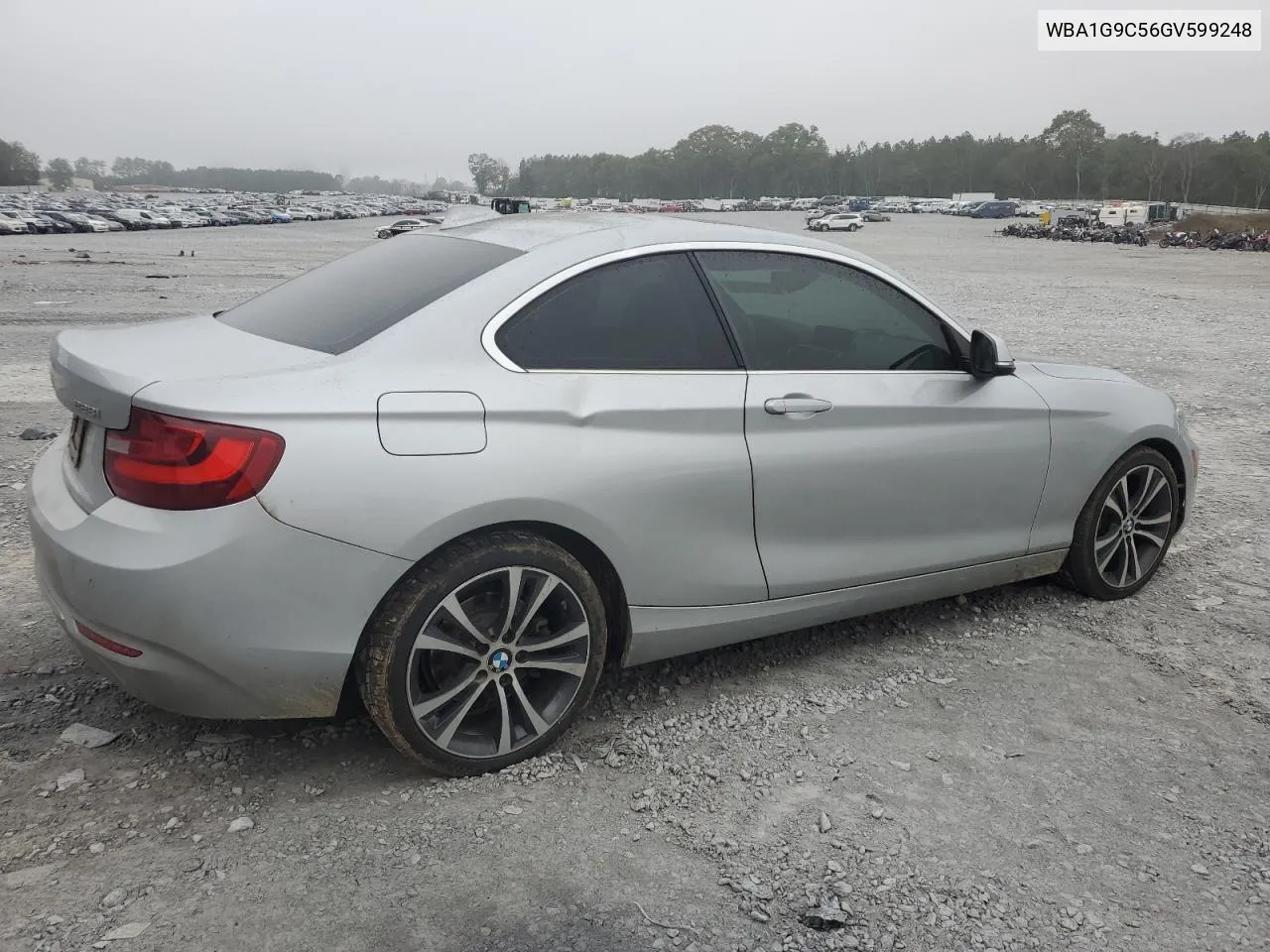 2016 BMW 228 Xi Sulev VIN: WBA1G9C56GV599248 Lot: 80220374