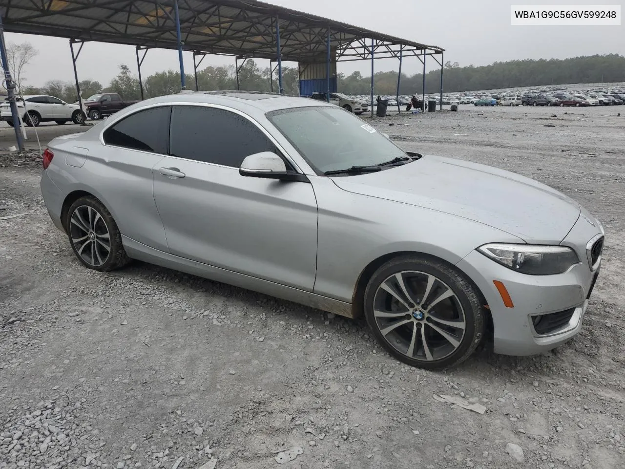 2016 BMW 228 Xi Sulev VIN: WBA1G9C56GV599248 Lot: 80220374