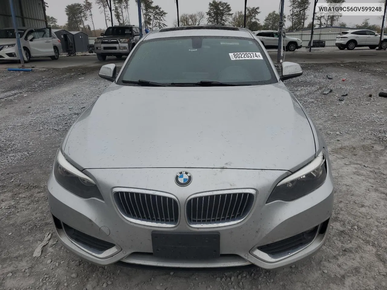 2016 BMW 228 Xi Sulev VIN: WBA1G9C56GV599248 Lot: 80220374