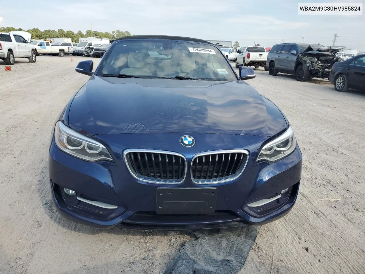 2017 BMW 230Xi VIN: WBA2M9C30HV985824 Lot: 73008084