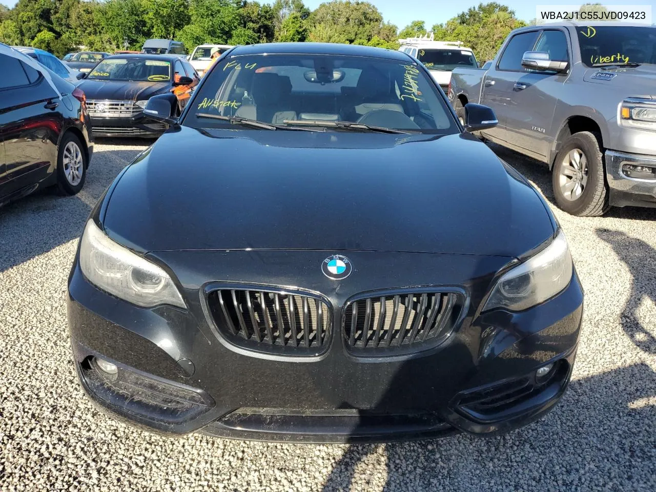 WBA2J1C55JVD09423 2018 BMW 230I