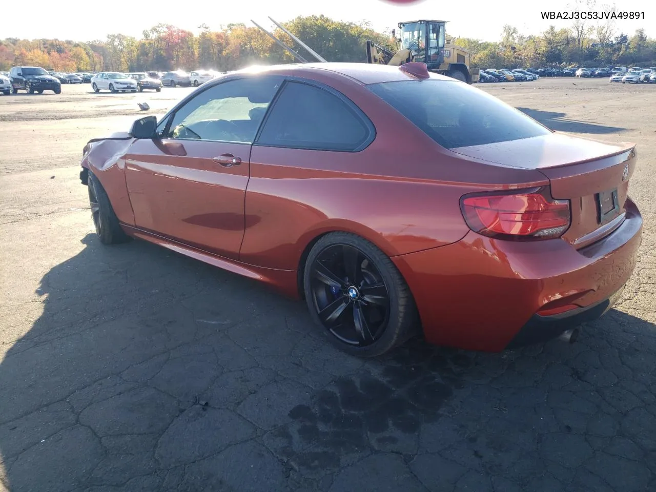 2018 BMW 230Xi VIN: WBA2J3C53JVA49891 Lot: 75574104