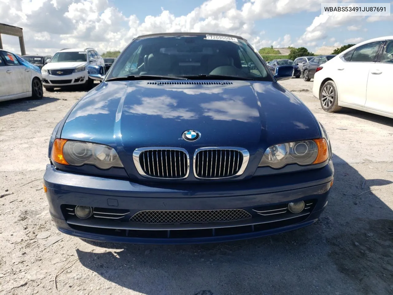 2001 BMW 330 Ci VIN: WBABS53491JU87691 Lot: 72695594