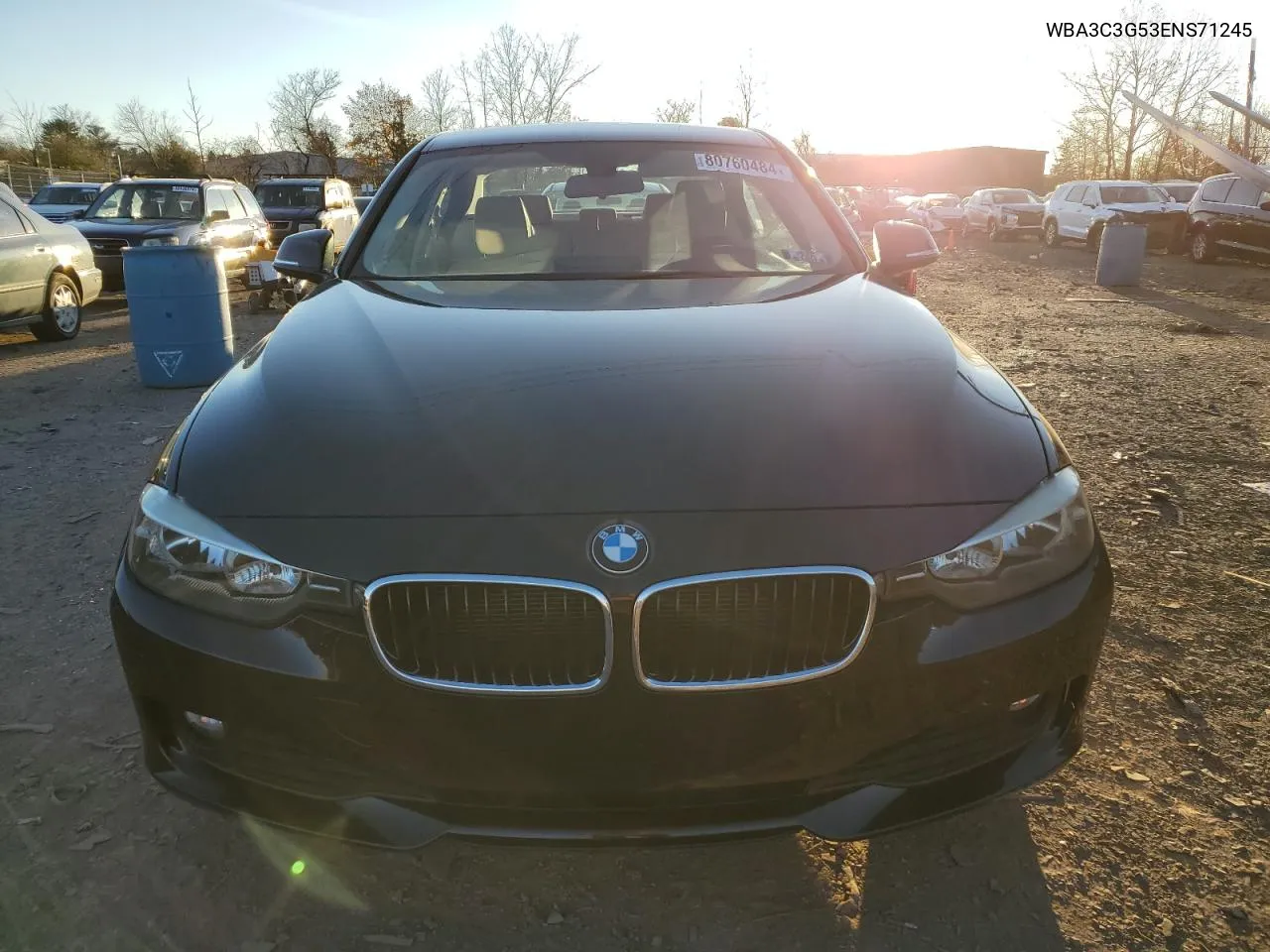 2014 BMW 320 I xDrive VIN: WBA3C3G53ENS71245 Lot: 80760484