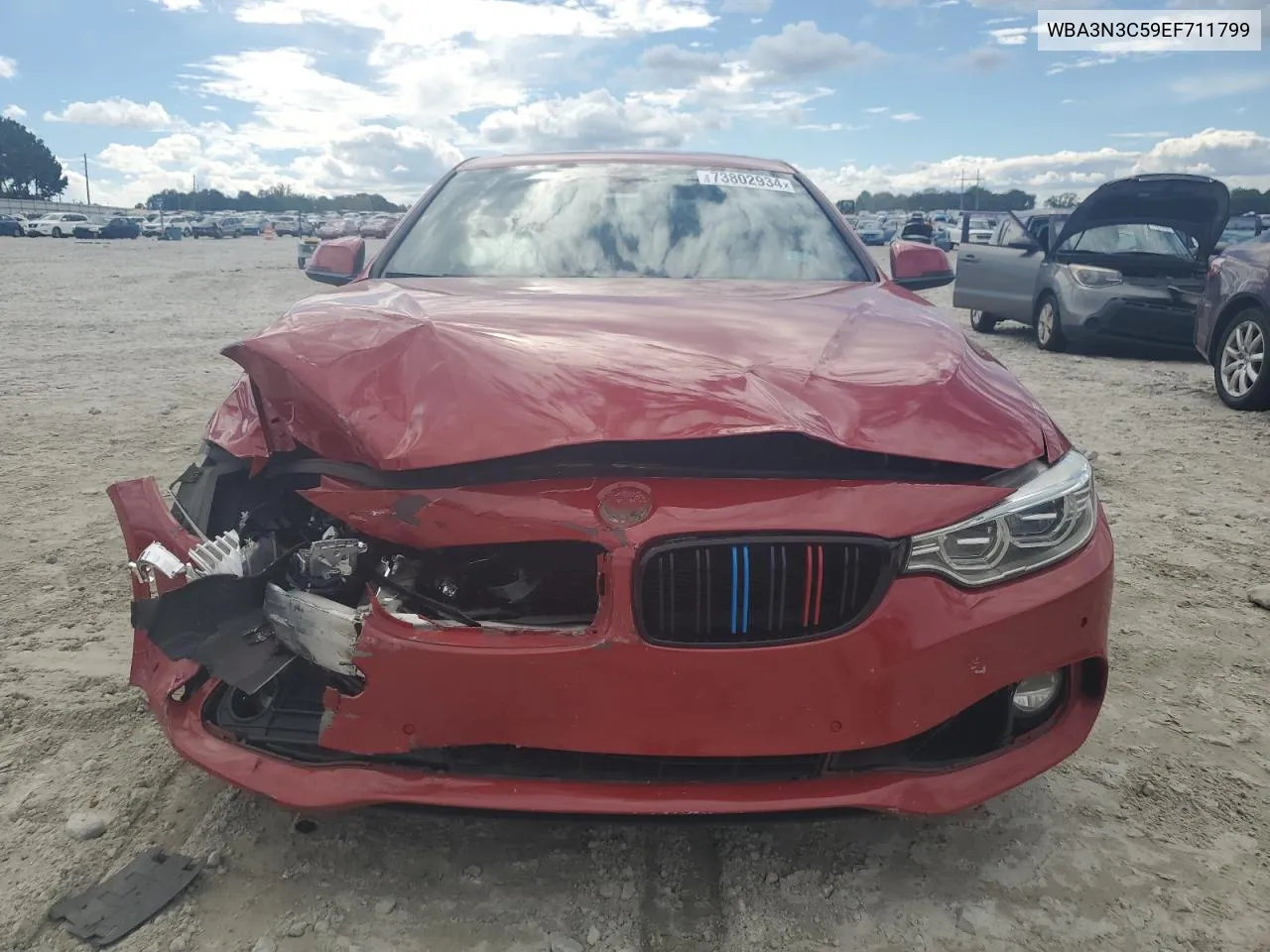 2014 BMW 428 I VIN: WBA3N3C59EF711799 Lot: 73802934