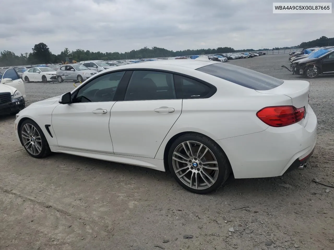 2016 BMW 428 I Gran Coupe Sulev VIN: WBA4A9C5XGGL87665 Lot: 72511994