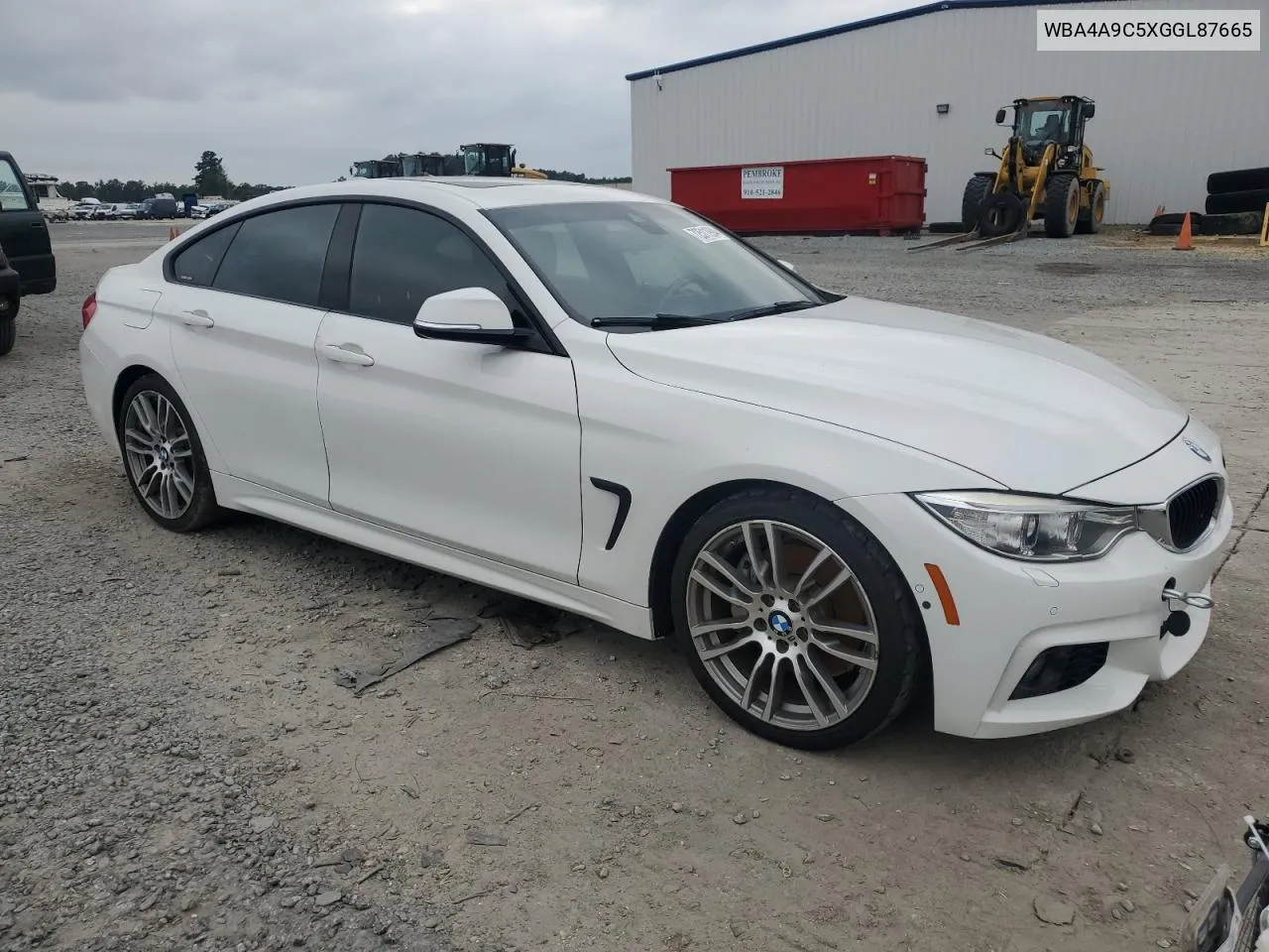 2016 BMW 428 I Gran Coupe Sulev VIN: WBA4A9C5XGGL87665 Lot: 72511994