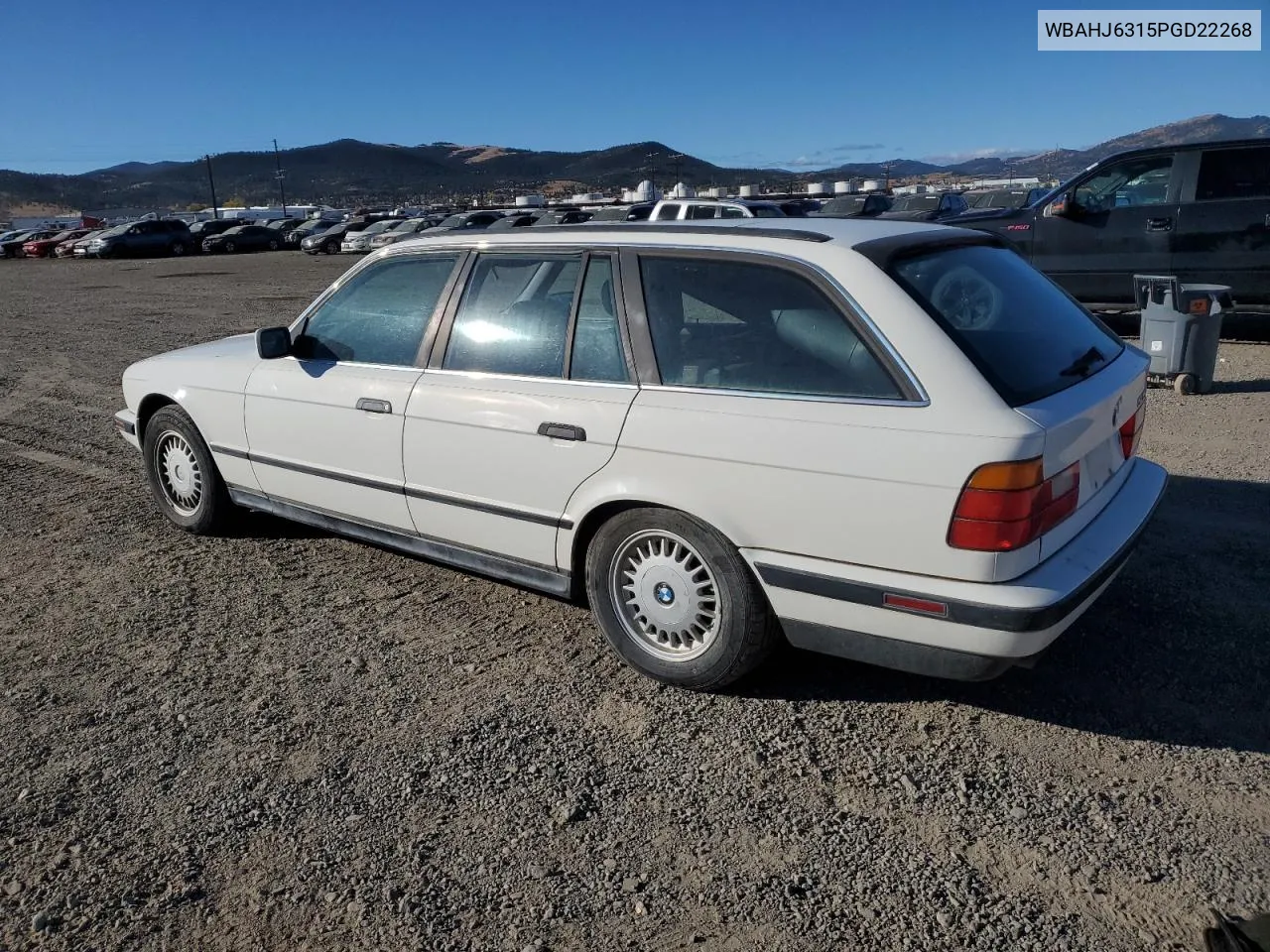 1993 BMW 525 It Automatic VIN: WBAHJ6315PGD22268 Lot: 76434354