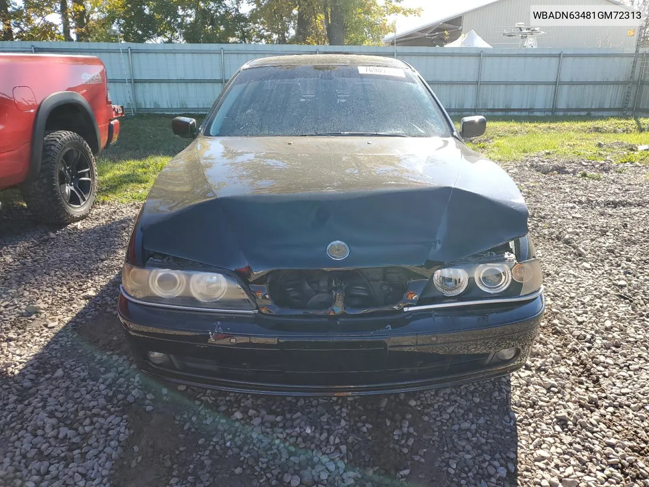 2001 BMW 540 I Automatic VIN: WBADN63481GM72313 Lot: 76989764