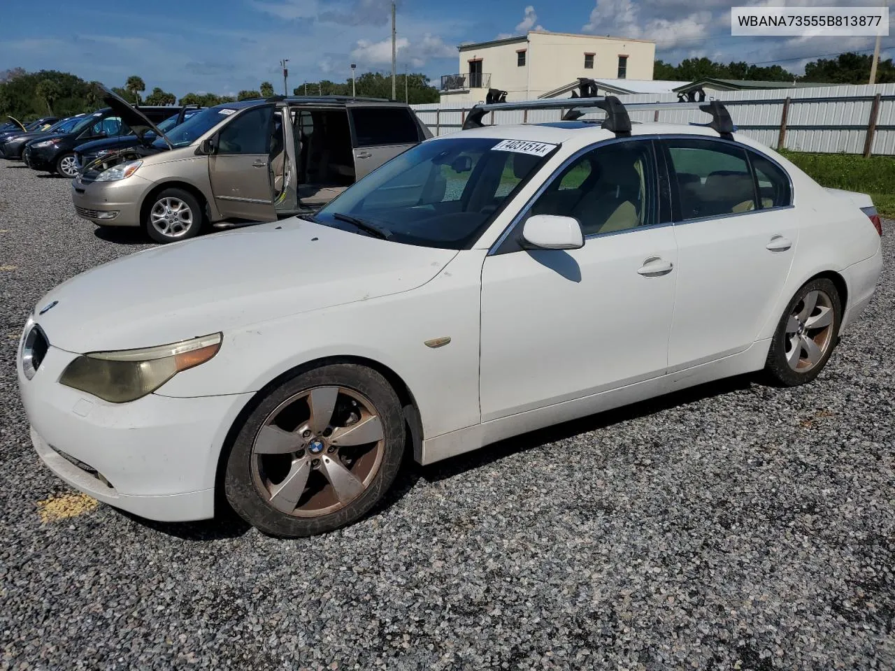 2005 BMW 530 I VIN: WBANA73555B813877 Lot: 74031514