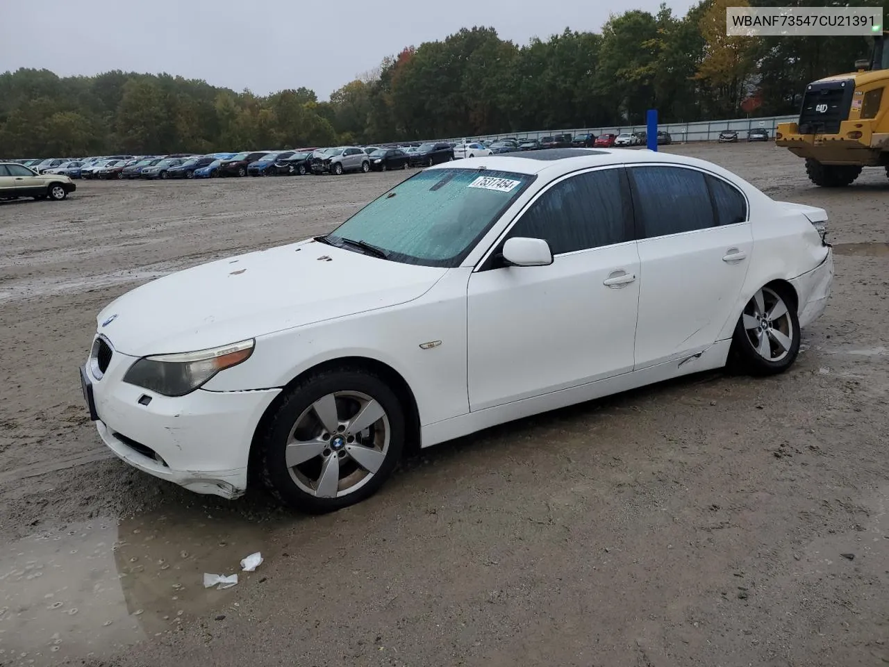 WBANF73547CU21391 2007 BMW 530 Xi