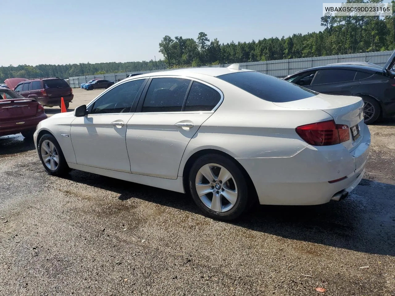 2013 BMW 528 I VIN: WBAXG5C59DD231165 Lot: 67292384