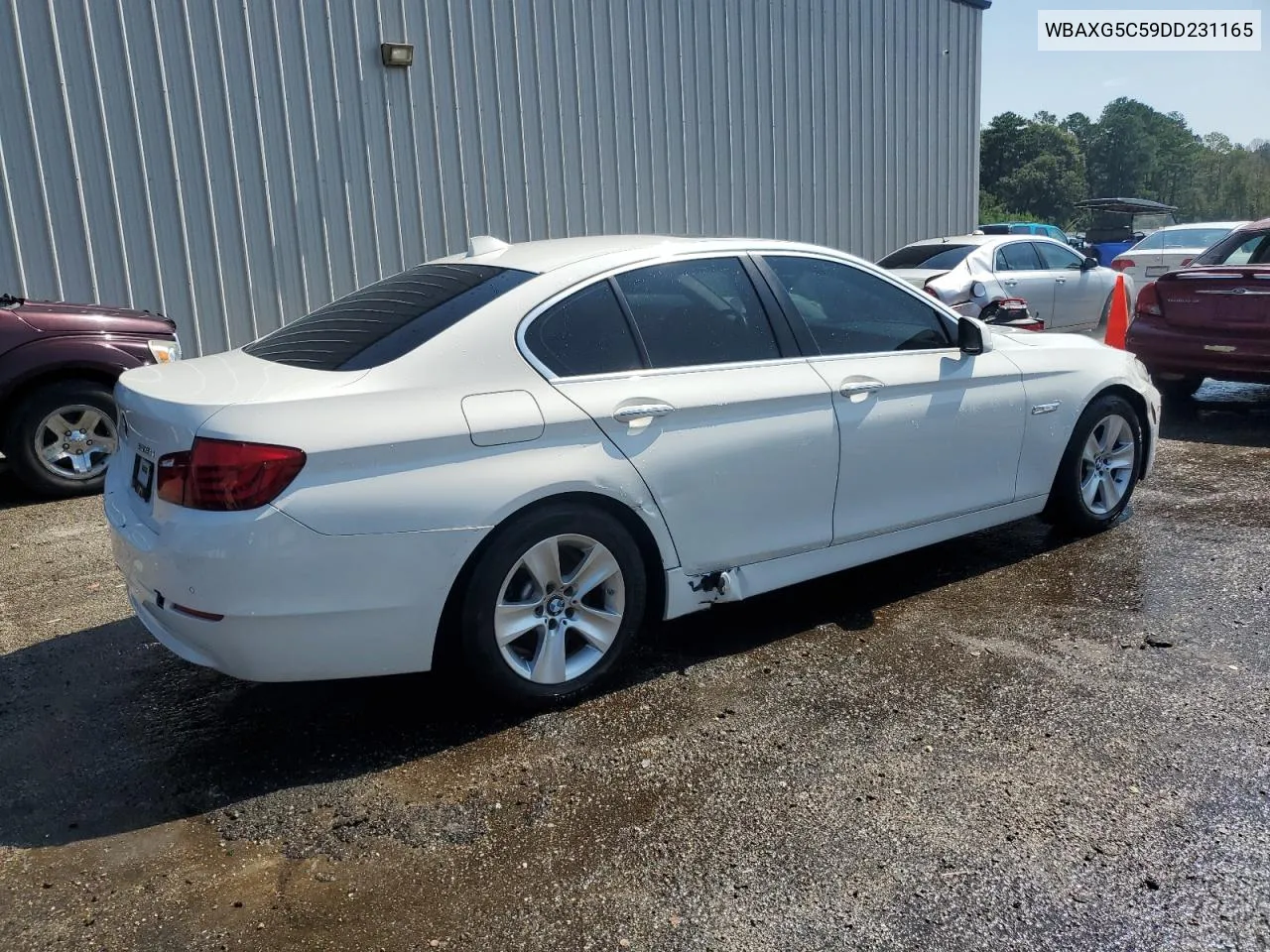 2013 BMW 528 I VIN: WBAXG5C59DD231165 Lot: 67292384