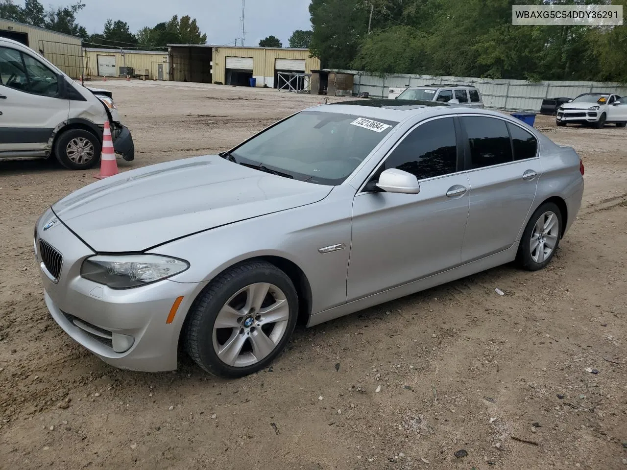 2013 BMW 528 I VIN: WBAXG5C54DDY36291 Lot: 73213684