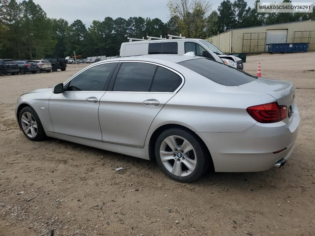 2013 BMW 528 I VIN: WBAXG5C54DDY36291 Lot: 73213684