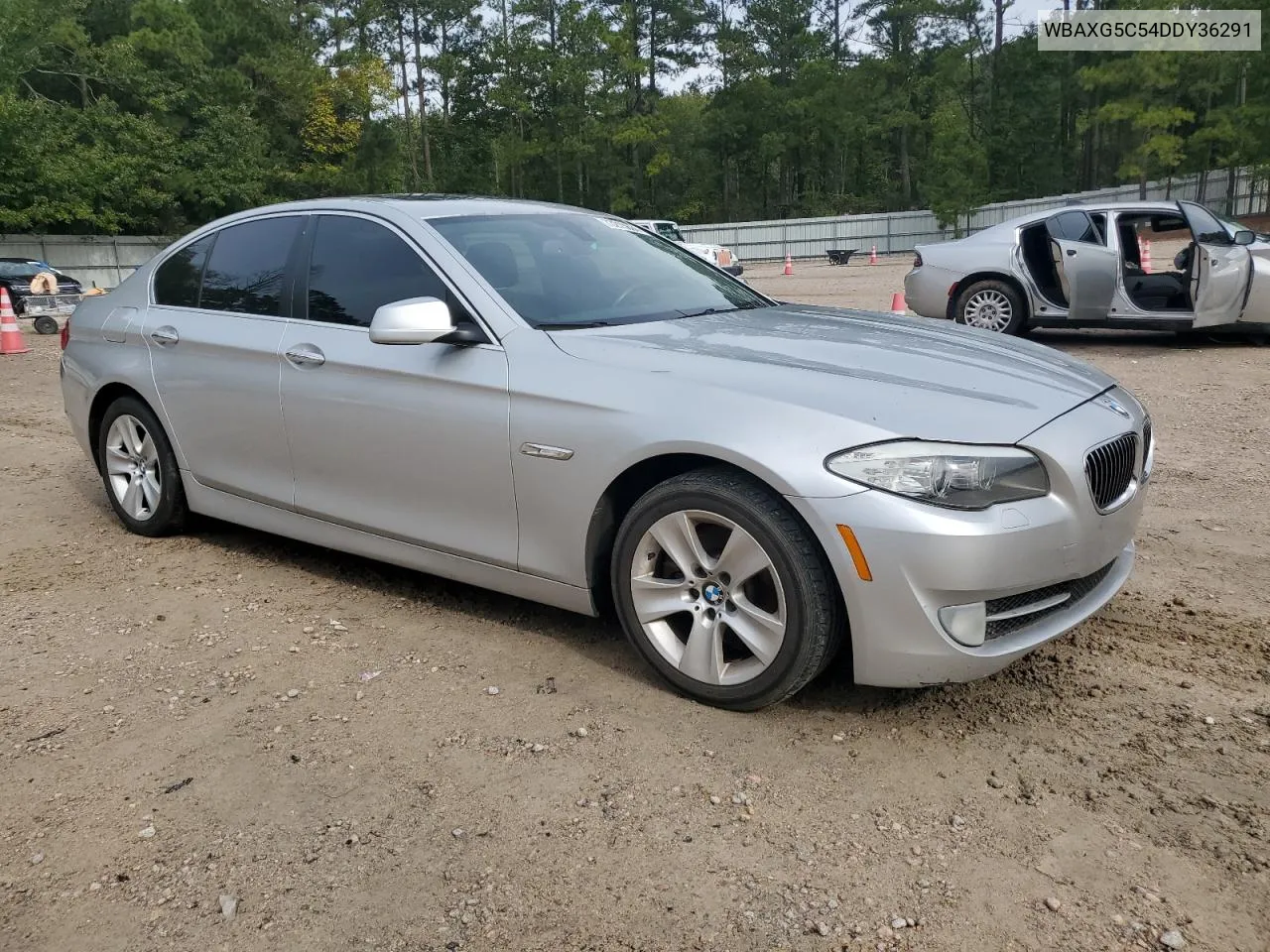 2013 BMW 528 I VIN: WBAXG5C54DDY36291 Lot: 73213684