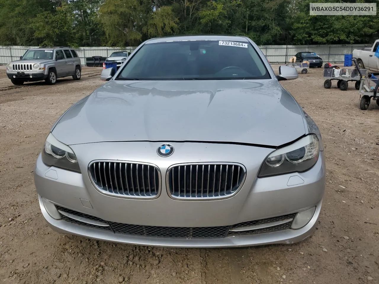 2013 BMW 528 I VIN: WBAXG5C54DDY36291 Lot: 73213684