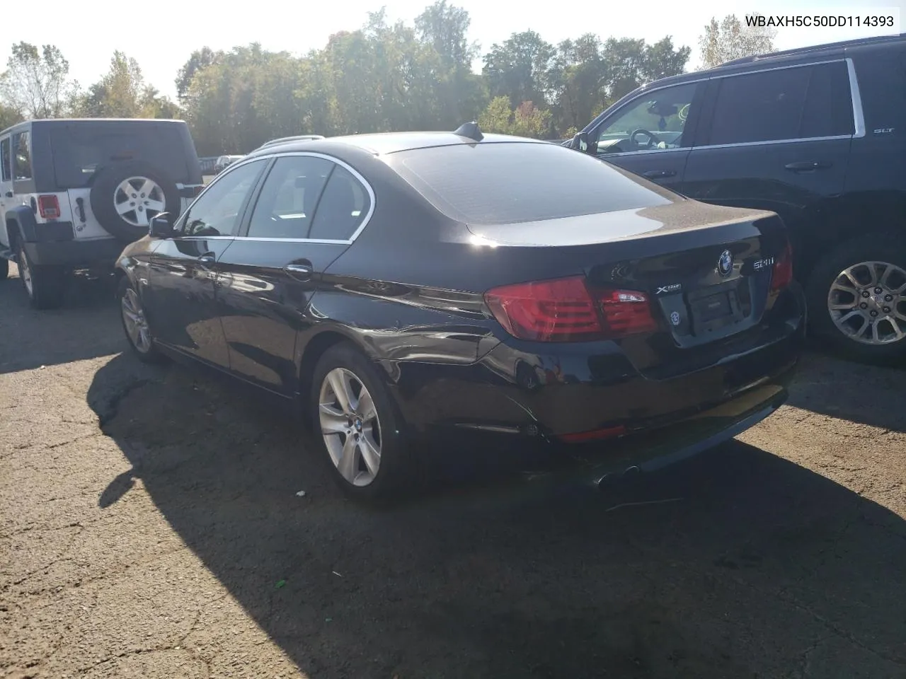 2013 BMW 528 Xi VIN: WBAXH5C50DD114393 Lot: 74249094