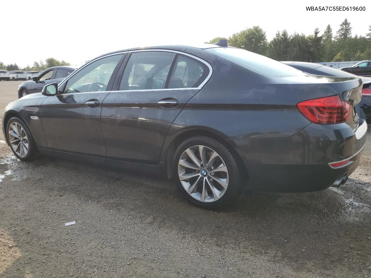 2014 BMW 528 Xi VIN: WBA5A7C55ED619600 Lot: 71340664