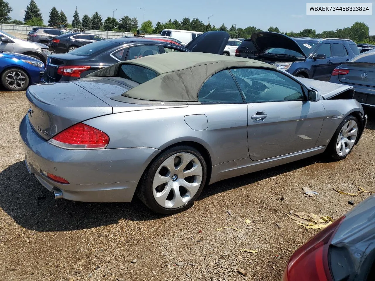 2005 BMW 645 Ci Automatic VIN: WBAEK73445B323824 Lot: 63038544