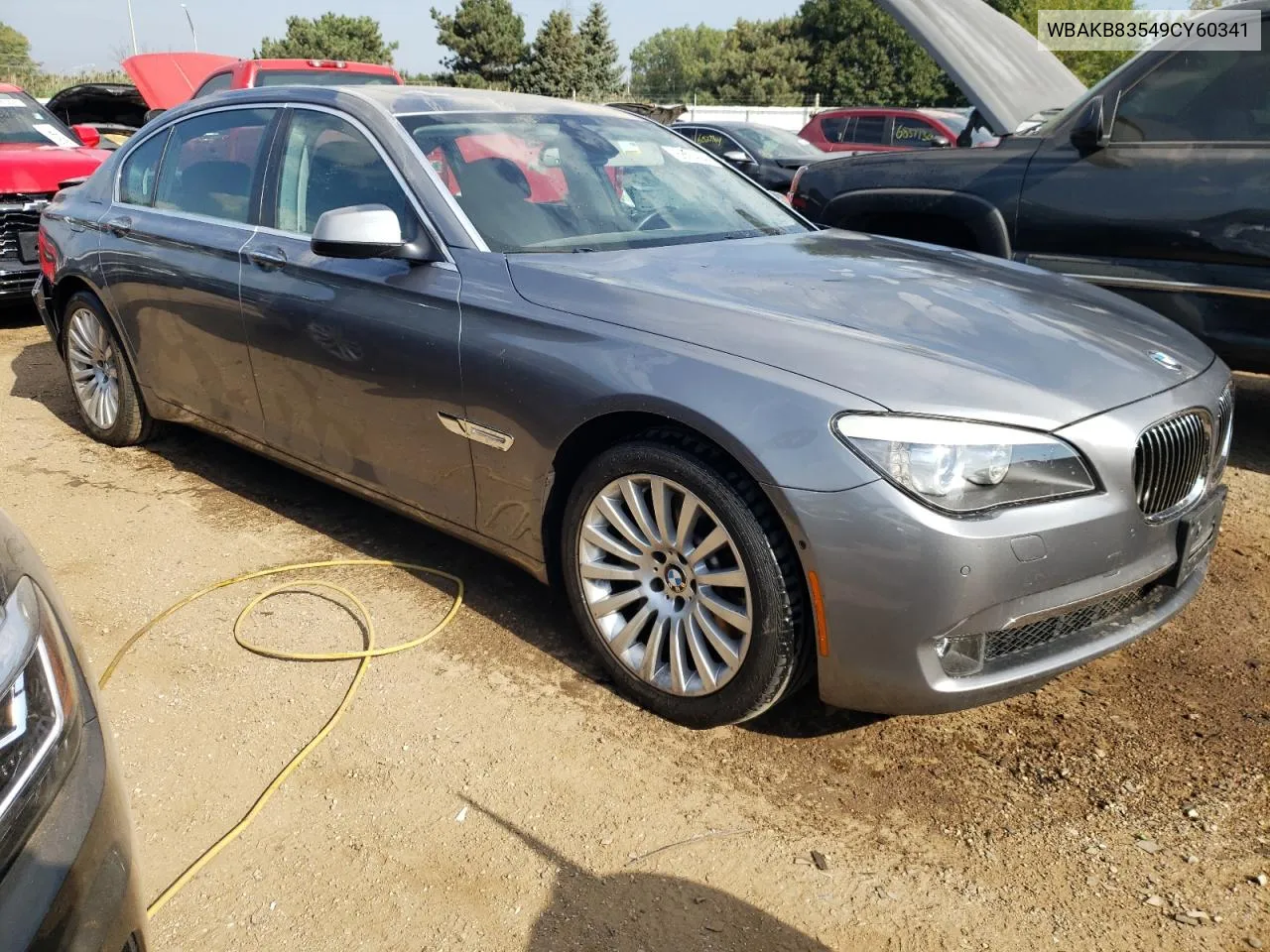 WBAKB83549CY60341 2009 BMW 750 Li