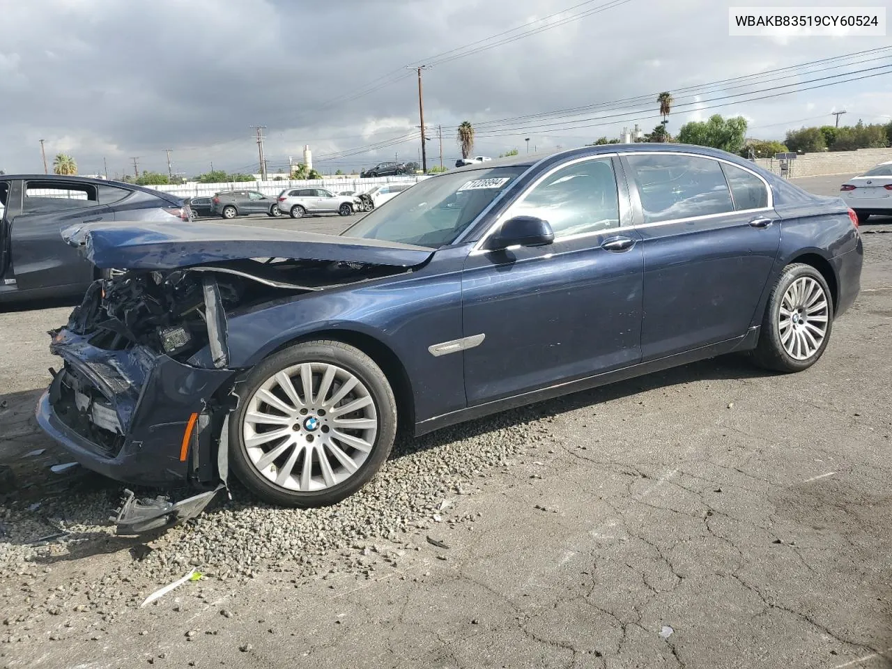 2009 BMW 750 Li VIN: WBAKB83519CY60524 Lot: 71228994