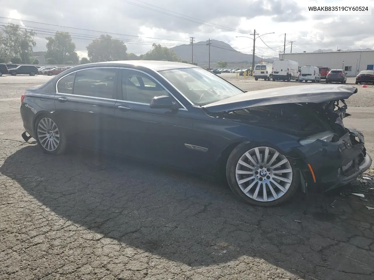 2009 BMW 750 Li VIN: WBAKB83519CY60524 Lot: 71228994