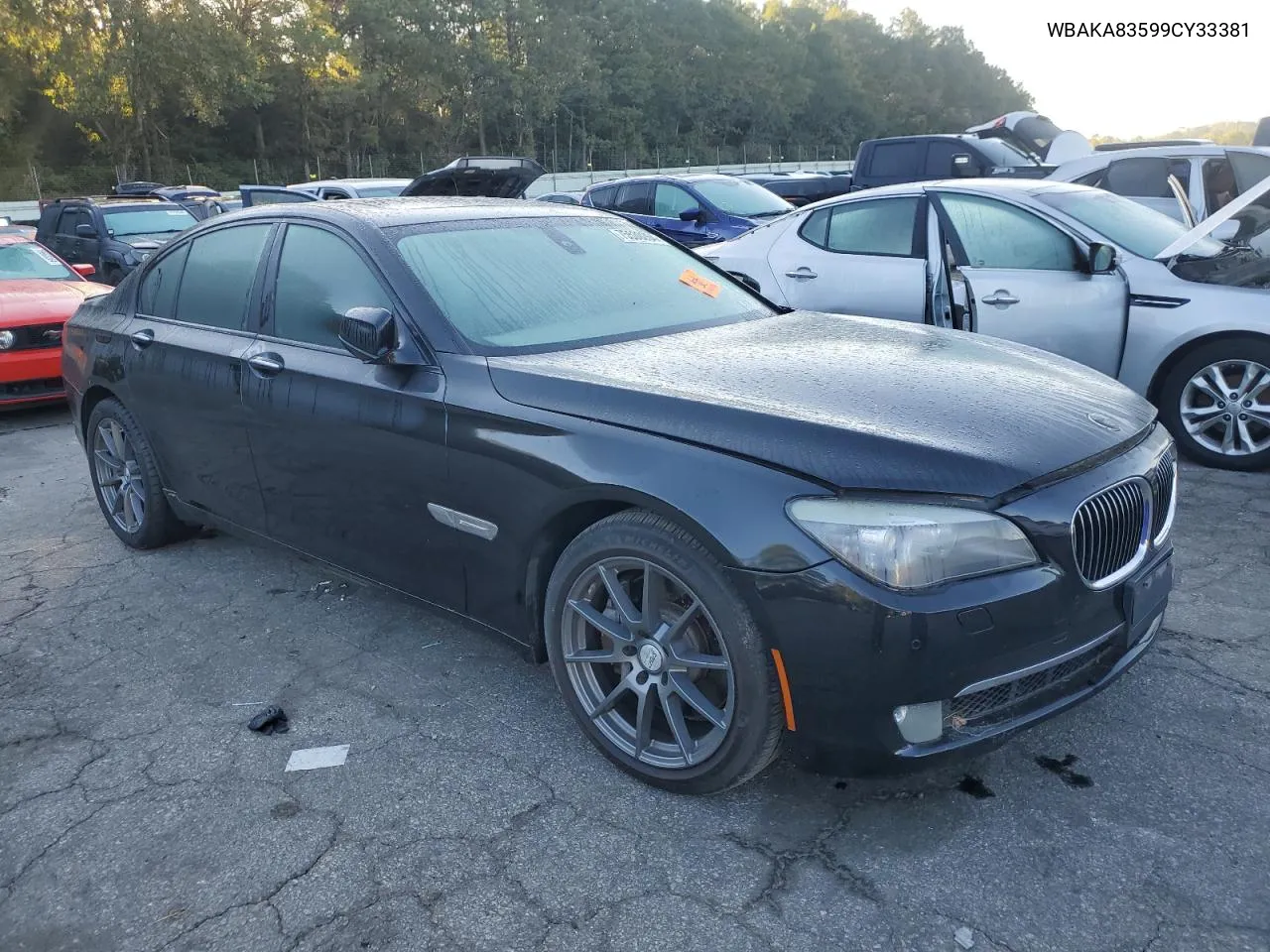 2009 BMW 750 I VIN: WBAKA83599CY33381 Lot: 75530264