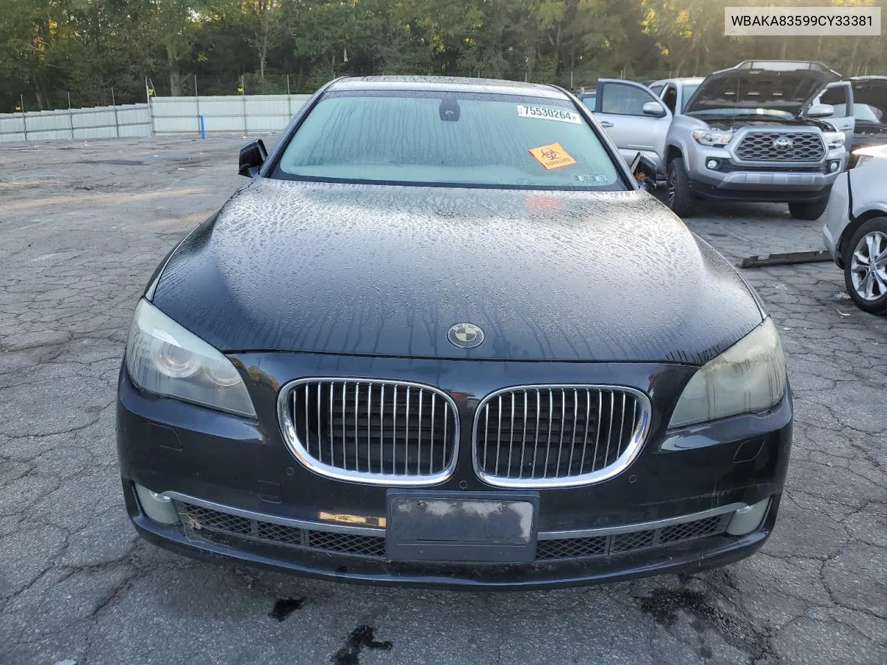 2009 BMW 750 I VIN: WBAKA83599CY33381 Lot: 75530264