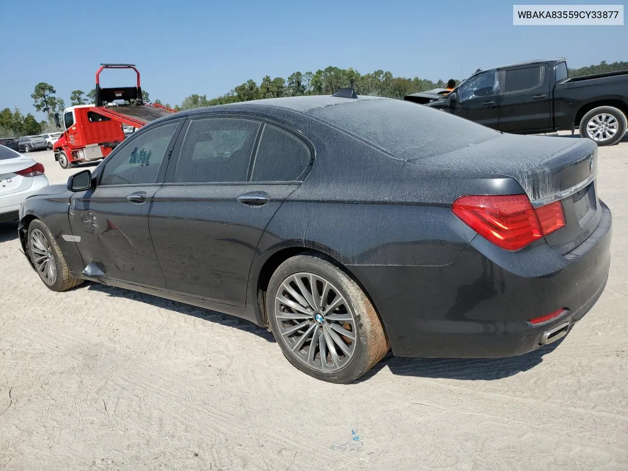 2009 BMW 750 I VIN: WBAKA83559CY33877 Lot: 76029274