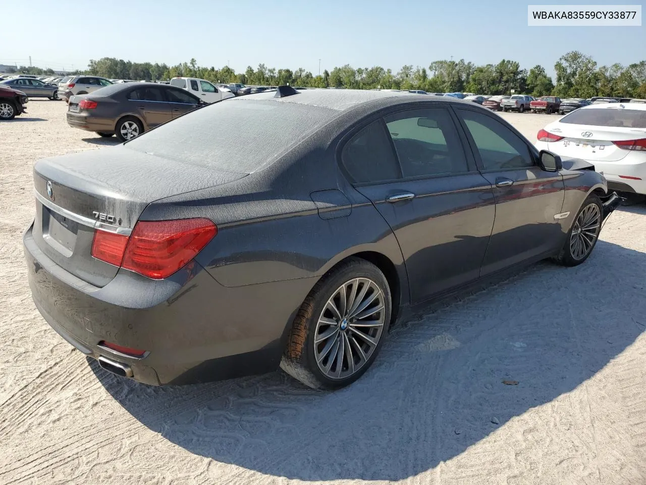 2009 BMW 750 I VIN: WBAKA83559CY33877 Lot: 76029274