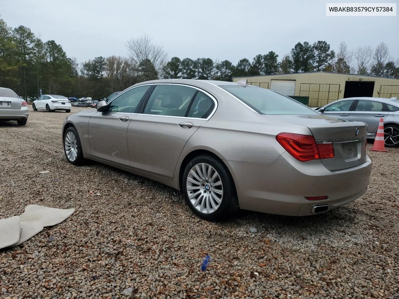 2009 BMW 750 Li VIN: WBAKB83579CY57384 Lot: 80707184