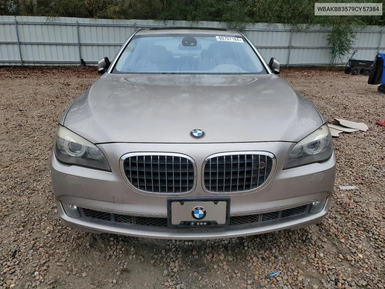 2009 BMW 750 Li VIN: WBAKB83579CY57384 Lot: 80707184