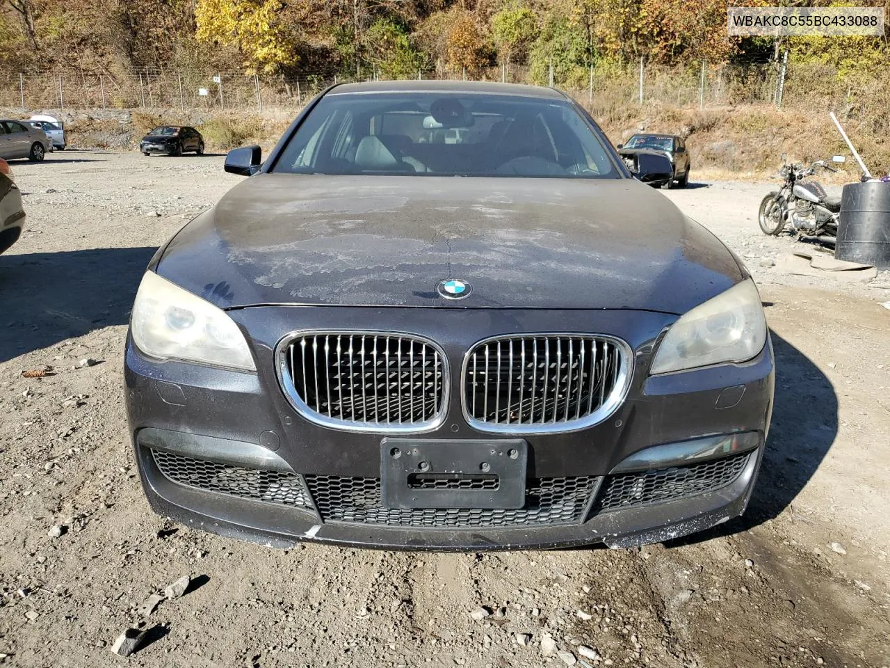 2011 BMW 750 Lxi VIN: WBAKC8C55BC433088 Lot: 77695864