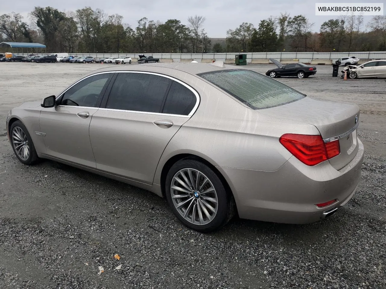 2011 BMW 750 Li VIN: WBAKB8C51BC852199 Lot: 79232214