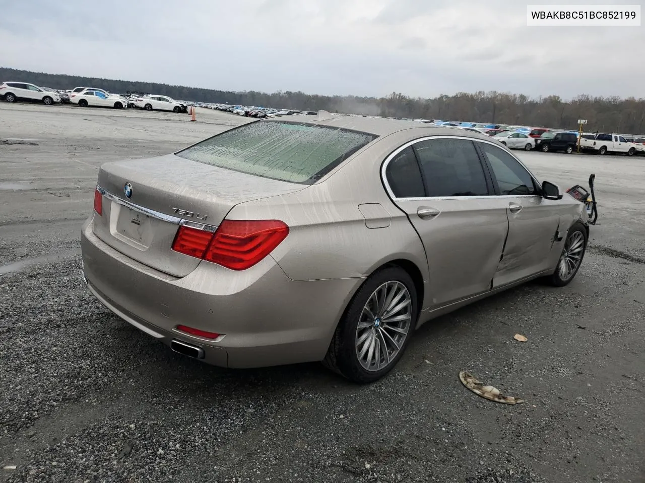 2011 BMW 750 Li VIN: WBAKB8C51BC852199 Lot: 79232214