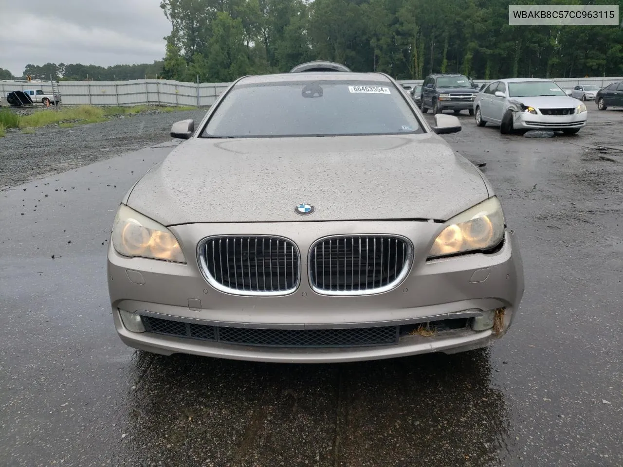 2012 BMW 750 Li VIN: WBAKB8C57CC963115 Lot: 66463554