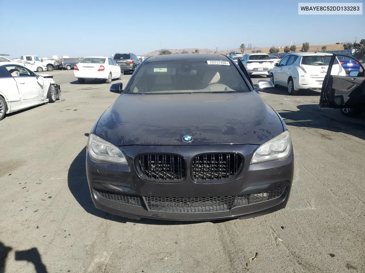 2013 BMW 750 Li VIN: WBAYE8C52DD133283 Lot: 72717704