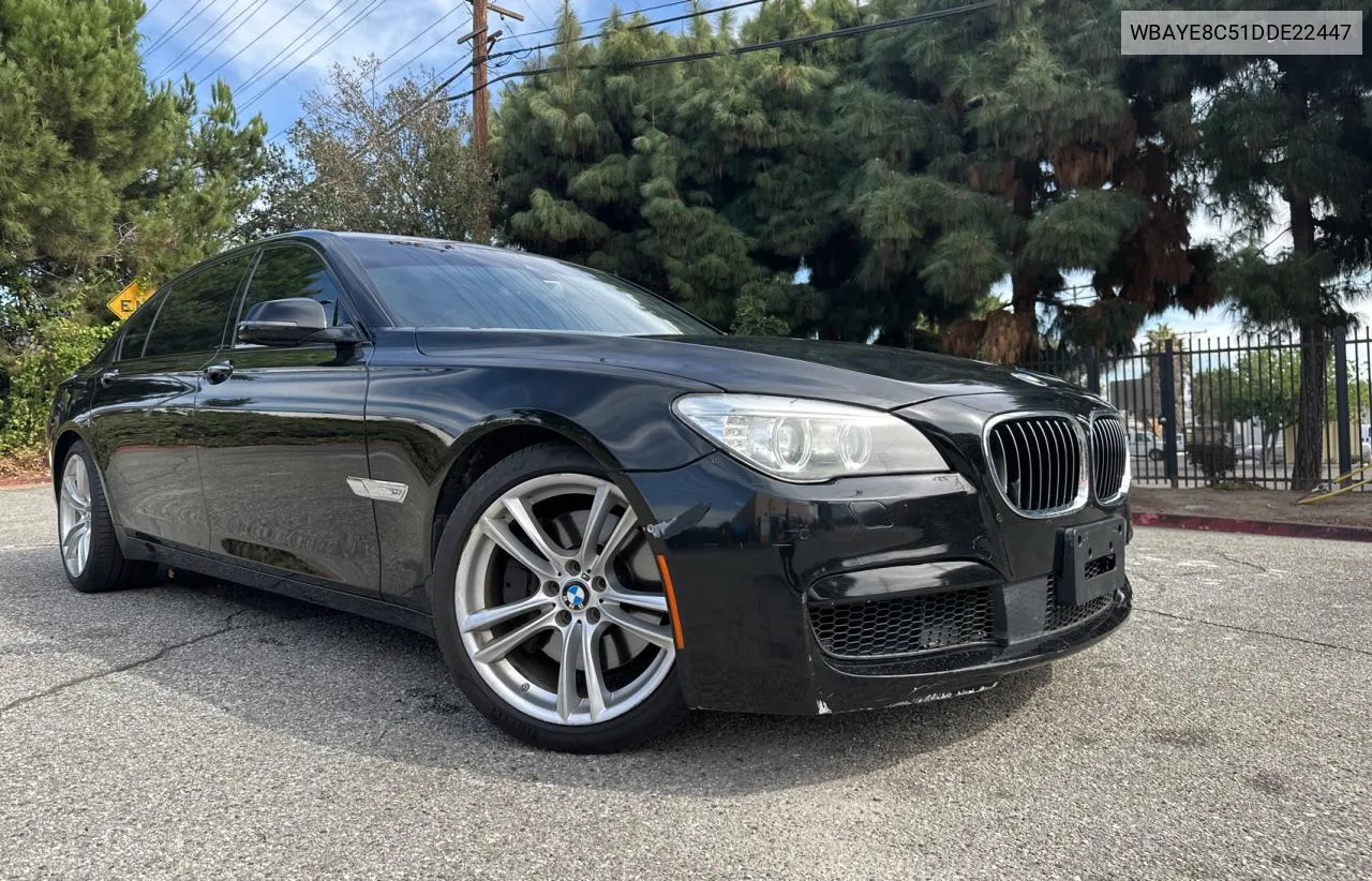 2013 BMW 750 Li VIN: WBAYE8C51DDE22447 Lot: 78312874