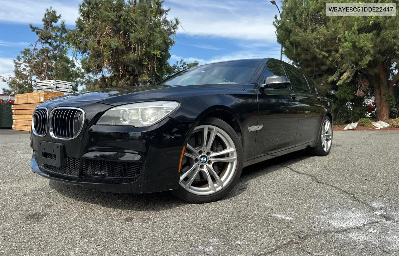 2013 BMW 750 Li VIN: WBAYE8C51DDE22447 Lot: 78312874