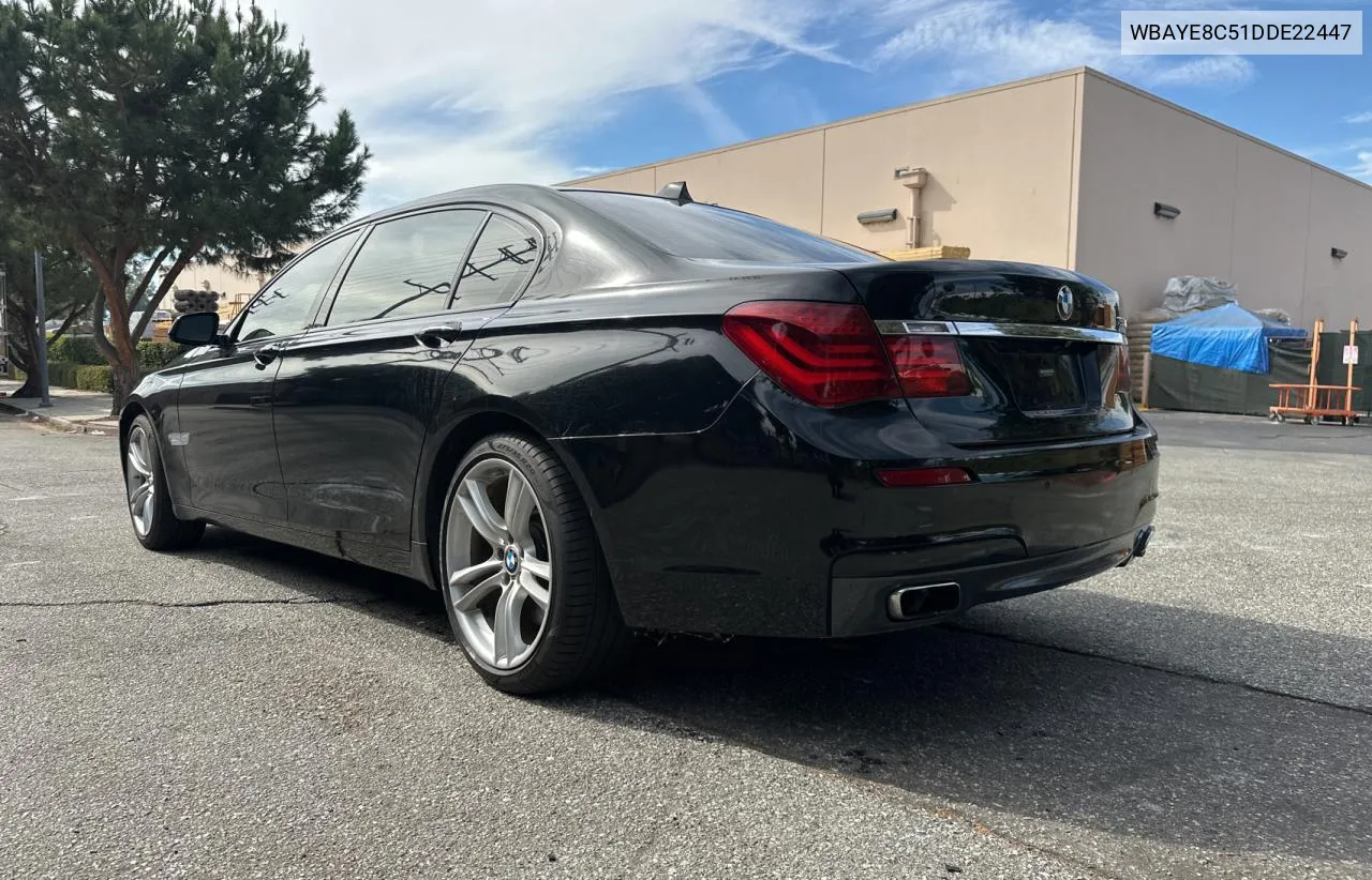 2013 BMW 750 Li VIN: WBAYE8C51DDE22447 Lot: 78312874