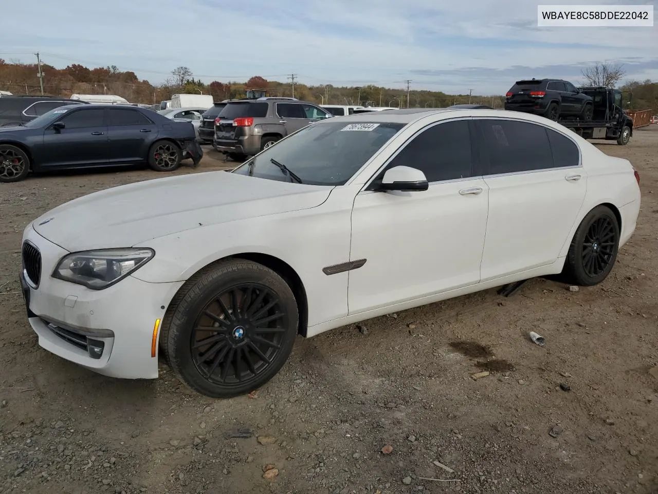 2013 BMW 750 Li VIN: WBAYE8C58DDE22042 Lot: 78673944