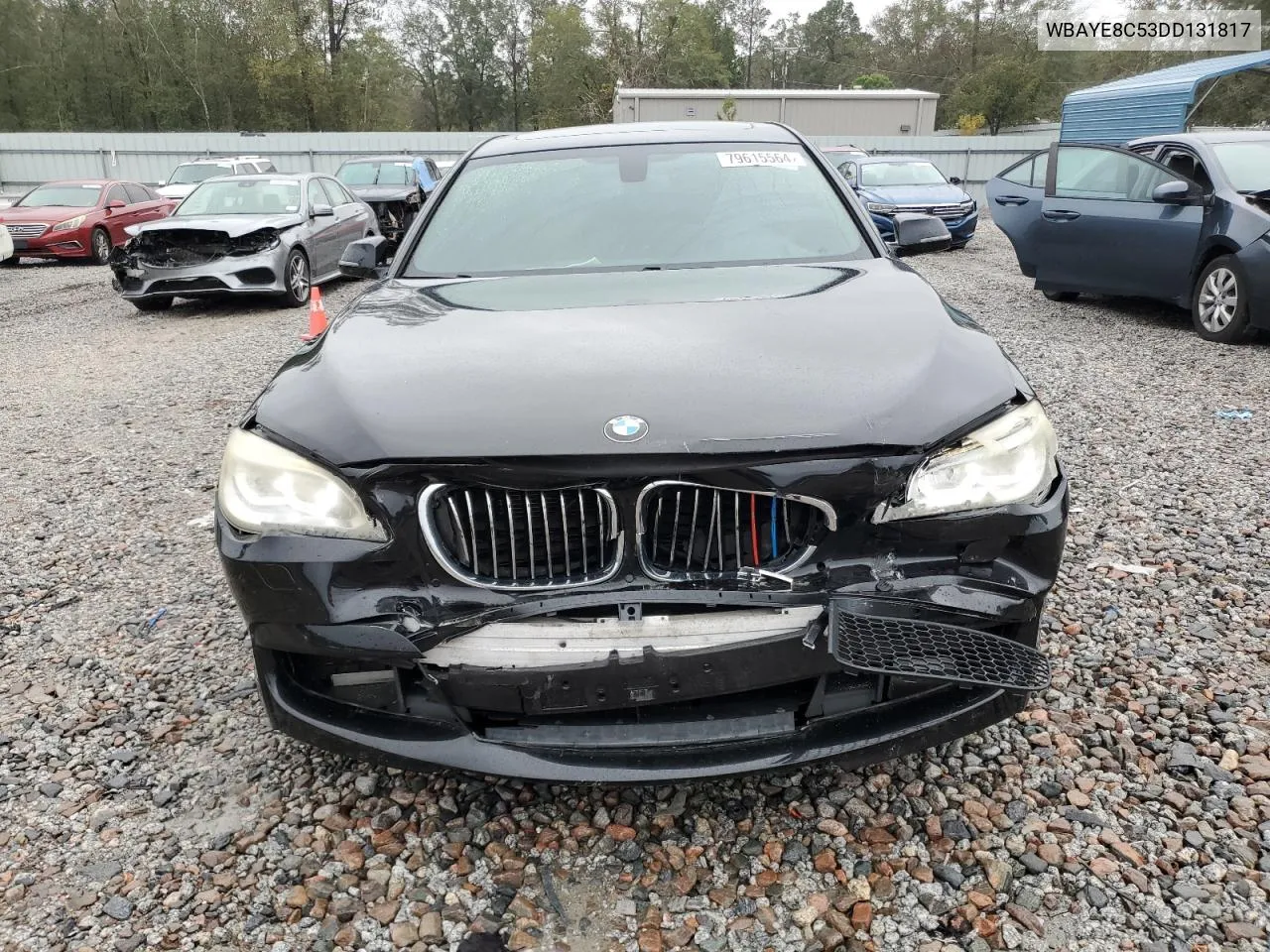 2013 BMW 750 Li VIN: WBAYE8C53DD131817 Lot: 79615564