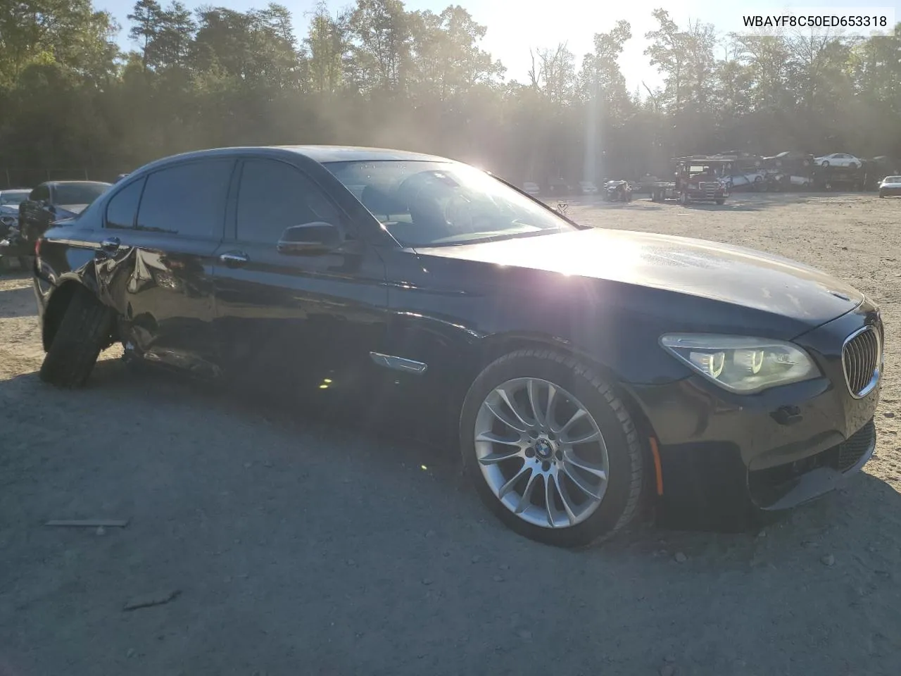 2014 BMW 750 Lxi VIN: WBAYF8C50ED653318 Lot: 70004254