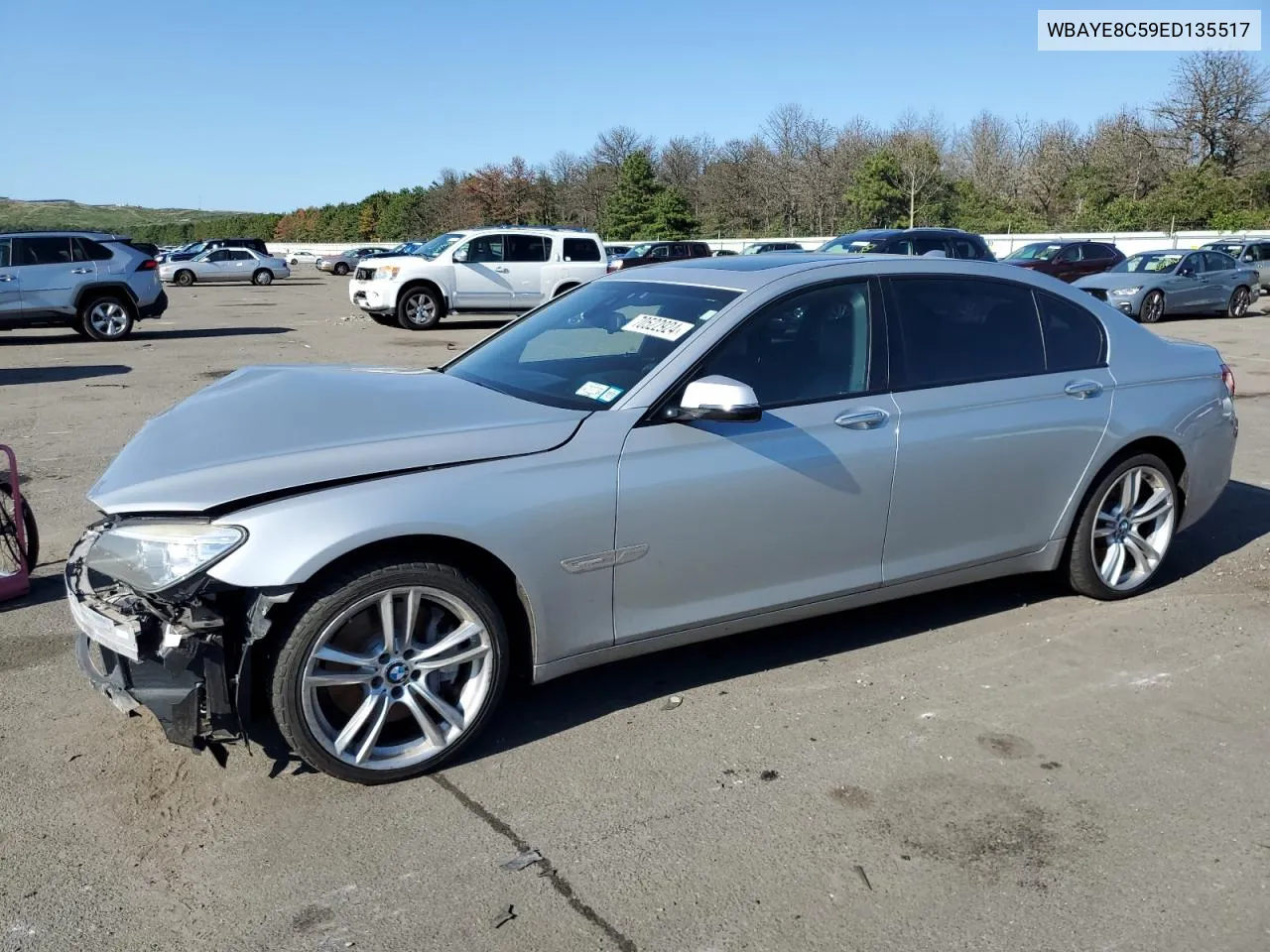 2014 BMW 750 Li VIN: WBAYE8C59ED135517 Lot: 70522924