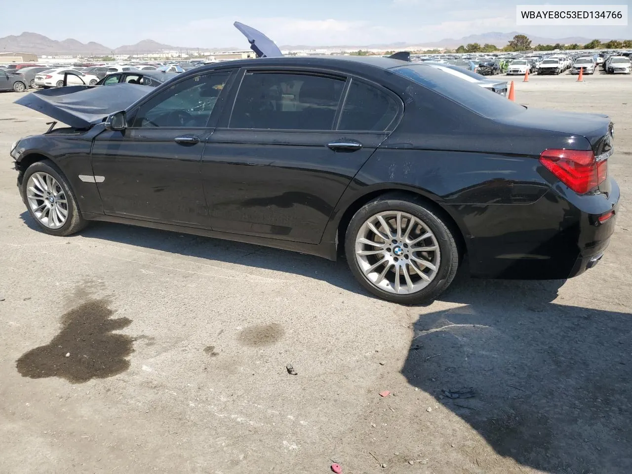 2014 BMW 750 Li VIN: WBAYE8C53ED134766 Lot: 70822274