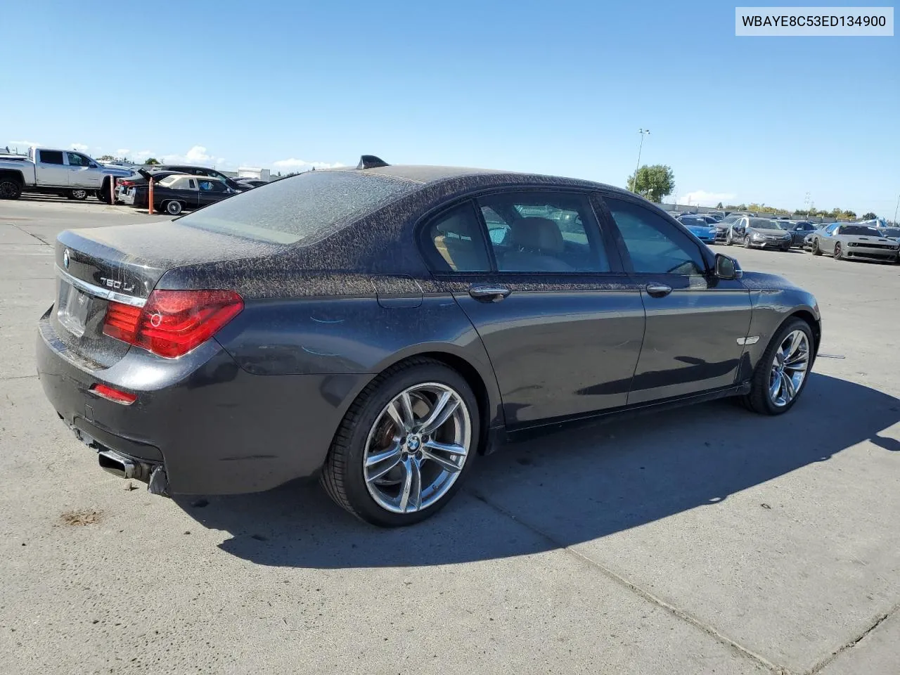 2014 BMW 750 Li VIN: WBAYE8C53ED134900 Lot: 74579094