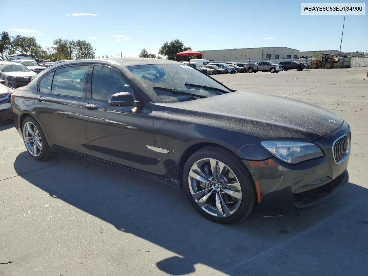 2014 BMW 750 Li VIN: WBAYE8C53ED134900 Lot: 74579094