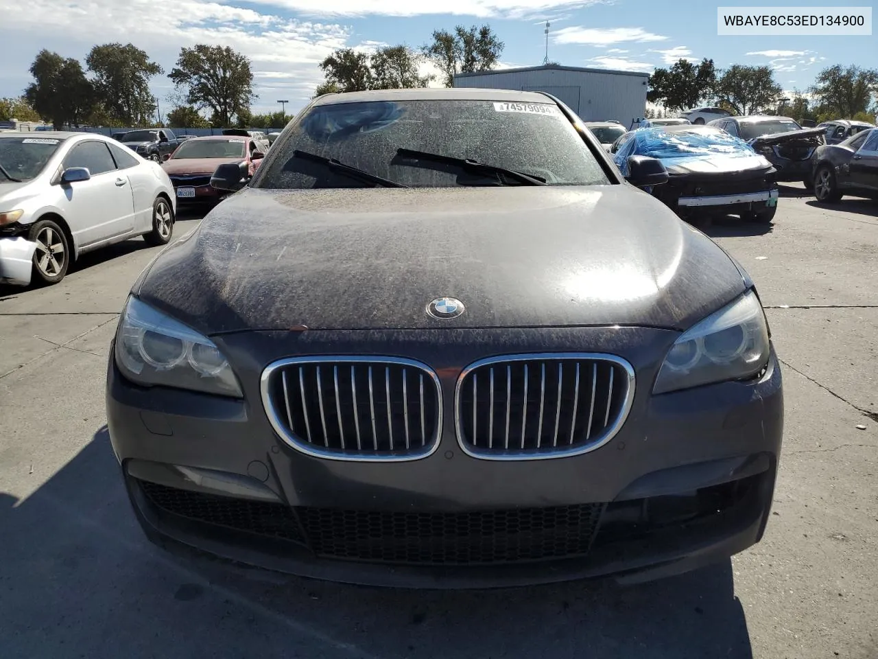 2014 BMW 750 Li VIN: WBAYE8C53ED134900 Lot: 74579094